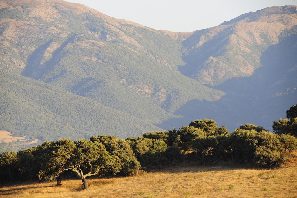 Vila Agriturismo Rocca Su Moru Arbus Exteriér fotografie